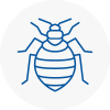 Bed Bug Extermination In Didsbury